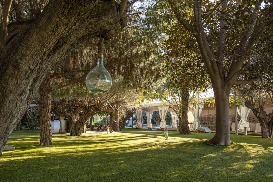 Jardines de la Alquibla