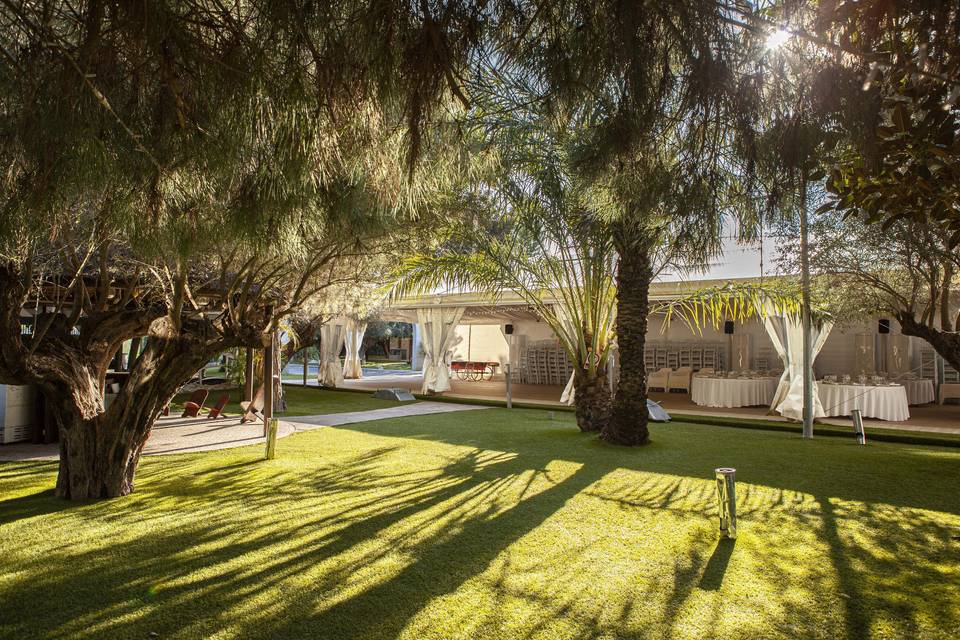 Jardines de la Alquibla